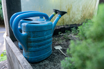 blue hand watering cans for flowers in the greenhouse