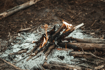 burning firewood in the fireplace