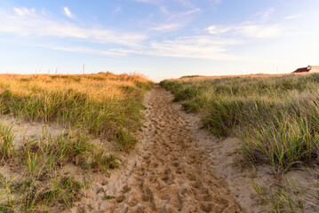 Empty trail through grassy sand dunes at sunset in autumn