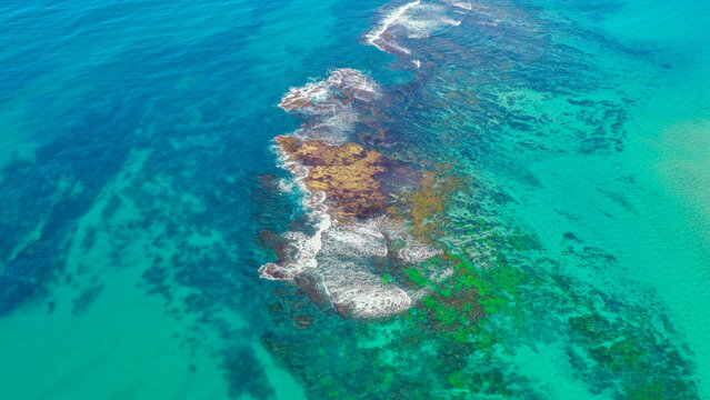 Colourful reef Budgewoi Australia © Photoslog