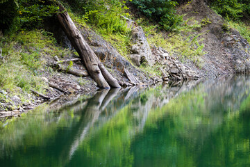 Rezerwat przyrody Jeziorko Daisy – utworzony w 1998 r. geologiczno-leśny rezerwat przyrody nieożywionej, wchodzący w skład Książańskiego Parku Krajobrazowego