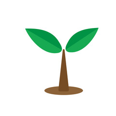The tree that grows from seed is a big tree with green color and the seedlings grow into a big tree. Vector illustration