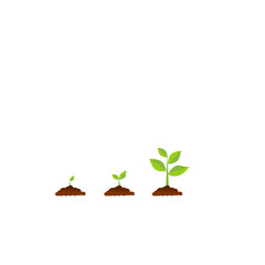 The tree that grows from seed is a big tree with green color and the seedlings grow into a big tree. Vector illustration