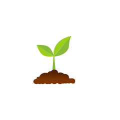 The tree that grows from seed is a big tree with green color and the seedlings grow into a big tree. Vector illustration