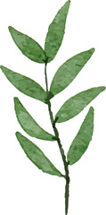Watercolor Leaves Illustration leaf for Decorative Element