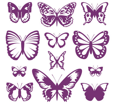 Set of beautiful patterned butterflies