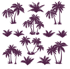 Fototapeta na wymiar Set of silhouettes of palm trees