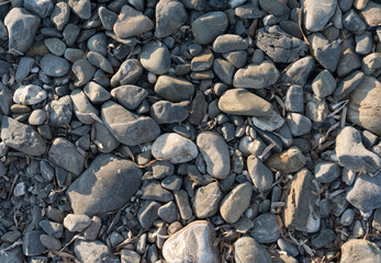 Trockene Kieselsteine am Strand im Abendlicht