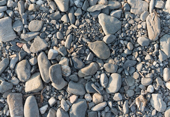 Trockene Kieselsteine am Strand im Abendlicht