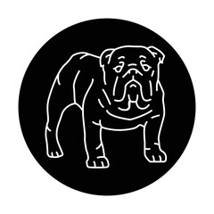 English bulldog color line icon. Dog breed.