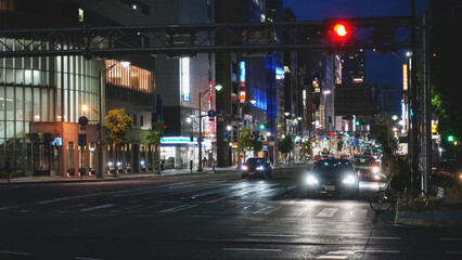 Fototapeta na wymiar Skyline and urbane environments of Tokyo, Japan