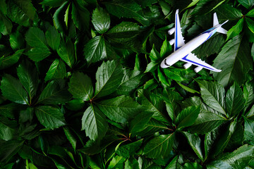 Passenger plane background lush green foliage.Concept travel and recreation.