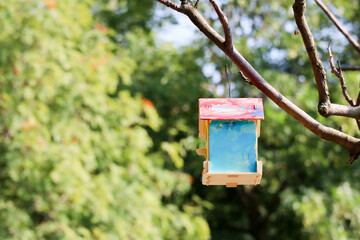 handmade bright colorful wooden bird house on a tree in the garden close up
