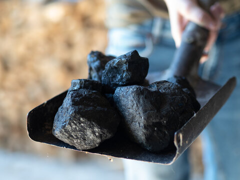 Węgiel, bryłki węgla na szpadlu 