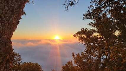 sunset over the forest