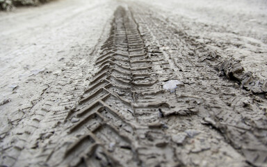 Wheel marks in the mud