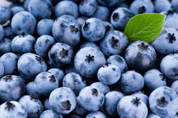 Blueberry background. Sweet fruits closeup.