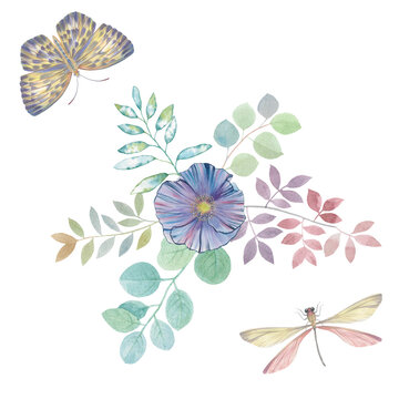 Butterfly, dragonfly flower and twig with leaves drawn in watercolor, isolate on a white background. botanical illustration for design.