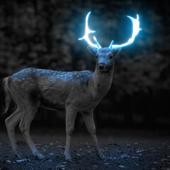 Glowing horn  deer wih dark background