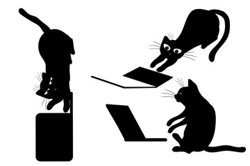 Set of cats with laptop. Domestic kitten. Black silhouette of cats. Tatoo, print.