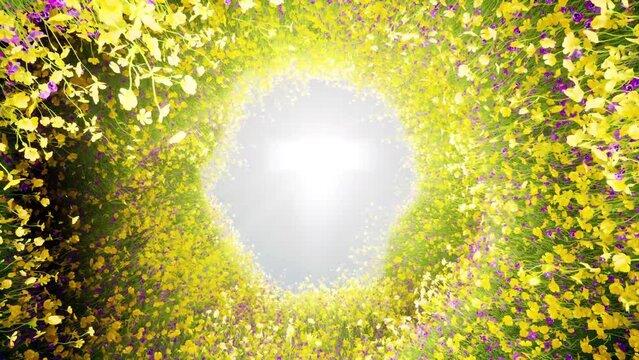 Blossom Flower tunnel Nature spring season Beauty 