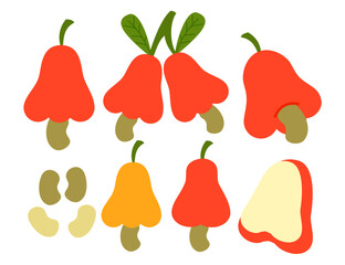 Cashew apple fruit with nut.Fresh exotic or tropical fruit.Red and yellow.Fresh whole and halfFlat design.Cartoon vector illustration.Clip art.Sign, symbol, icon or logo isolated.Hand drawn.Doodle.