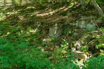 Old stone quarry near the german village called Trendelburg