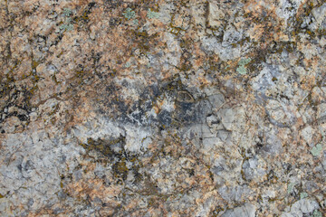 Granite rock texture background, close up. Fragment of stone wall texture. Moss and lichen on gray stone. Lichen on the rock.	