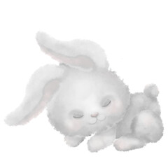 Woodland cute animals baby clipart bunny, rabbit, Watercolor illustration, Png transparent background