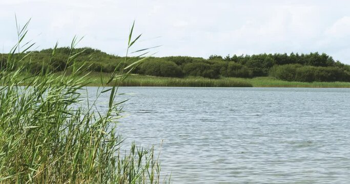 Glamorgan's largest natural lake, Kenfig Pool, is set on the edge of this beautiful sand dune nature reserve with spectacular views across Swansea Bay to the Gower.