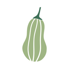 Green zucchini cute illustration in flat style
