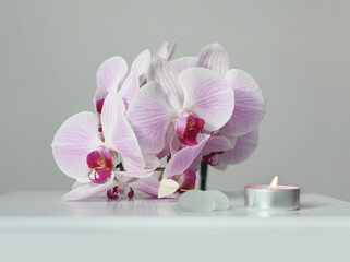 Pink phalaenopsis orchid flower and burning candle on gray interior. Selective soft focus. Minimalist still life. Light and shadow nature horizontal background.