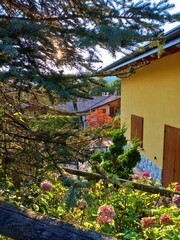 Fototapete bei efototapeten.de bestellen   