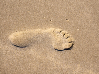 Fototapeta na wymiar Footprint on the white sand of the beaches along the north sea coast of the Jutland peninsula in Denmark