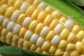 Raw cobs of young corn with leaves on a wooden table. the inscription on the cob 