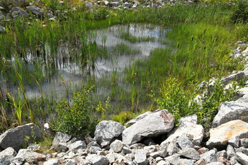 Naklejka na ściany i meble Small pond surrounded by rocks. Summer time. Jämtland, Sweden, Europe. 