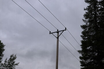 Power lines a cloudy day. Some fir trees. J&auml;mtland, Norrland, Sweden.