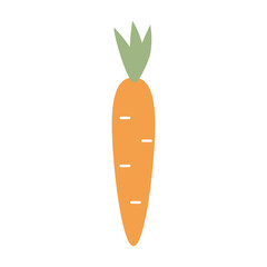 Simple illustration of flat-style carrots