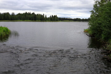 Dark water at the Swedish countryside. Cloudy day outside. Summer of 2022. Jämtland, Sweden, Europe.