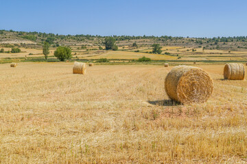 Alpaca , Paca cilíndrica gigante o rotopaca , En Europa la paca más común es la paca de paja,...