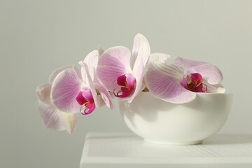 Pink phalaenopsis orchid flower in bowl on white interior. Selective soft focus. Minimalist still...
