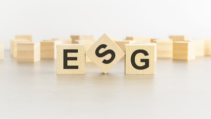 word ESG is made of wooden blocks on white background