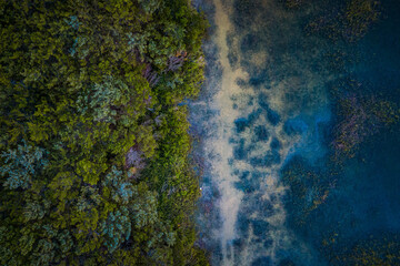 Aerial Abstract View of a Marsh and the Shore