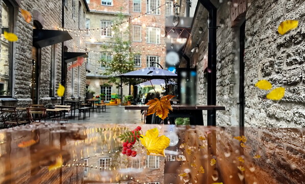 Autumn city street rain drops on  cafe table yellow leaves and rowan berry nature landscape
