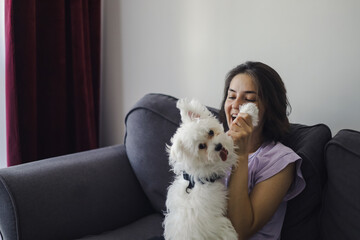A girl is playing with a small beautiful white dog.