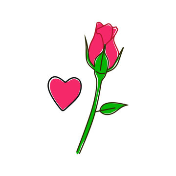 Rose flower and heart concept. Design flower rose isolated on white background. love illustration