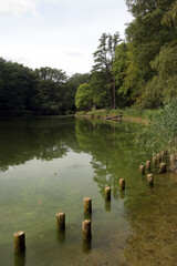 jungfernheide