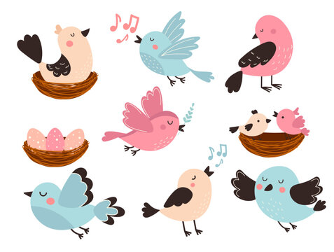 A set of beautiful and cute birds. Spring singing birds. Bird on the nest and little chicks. Vector birds for postcards and t-shirts.