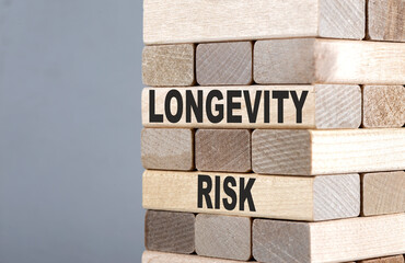 The text on the wooden blocks LONGEVITY RISK