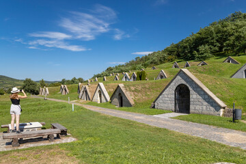 Gombos-hegyi pincesor in Hercegkut, UNESCO site, Great Plain, North Hungary